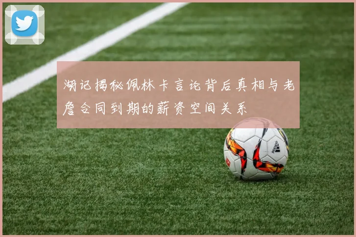 湖记揭秘佩林卡言论背后真相与老詹合同到期的薪资空间关系