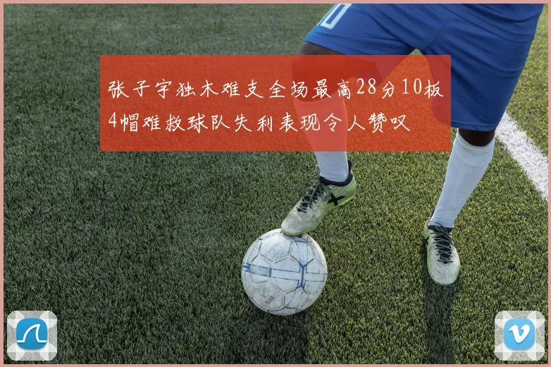 张子宇独木难支全场最高28分10板4帽难救球队失利表现令人赞叹